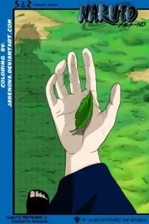 Portada de Naruto ND
