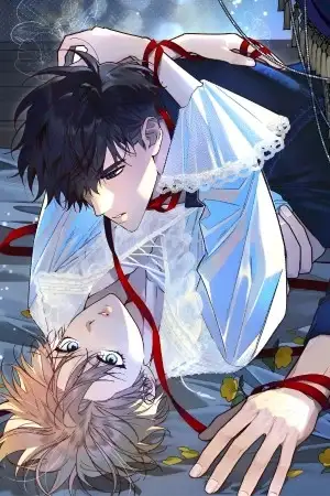 Portada de ✨YAOI BL: Historias que Enamoran