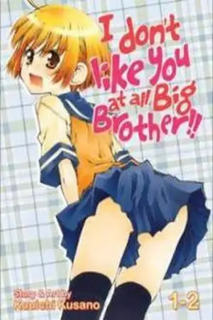 Portada de Onii-chan no Koto Nanka Zenzen Suki janain dakara ne!!