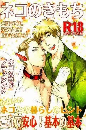 Portada de The Cat´s Mood