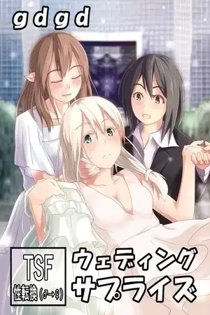 Portada de Wedding Surprise