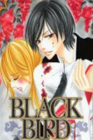 Portada de Black Bird