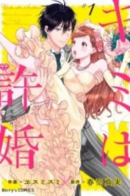Portada de Kimi Wa Kyoukon