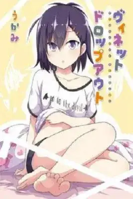 Portada de Vignette Dropout