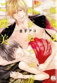 Portada de Gokudou Wa Meganekko Ga Gohoubi