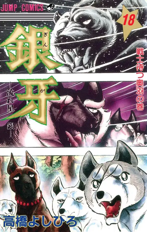 Portada de Ginga Nagareboshi Gin