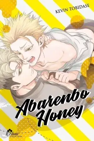 Portada de Abarenbo honey