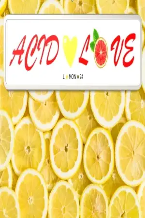 Portada de Acid Love
