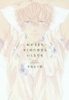 Portada de Wagamama Mo Kimi No Tame Nara Ikura Demo