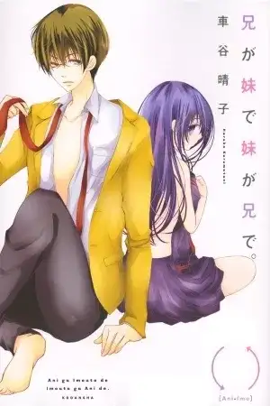 Portada de Ani ga Imouto de Imouto ga Ani de