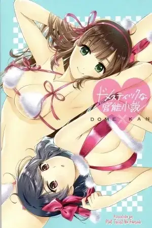 Portada de Domestic na Sensual