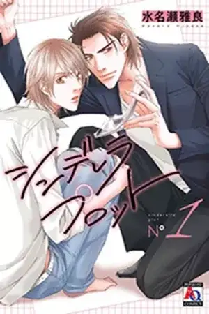 Portada de Cinderella plot
