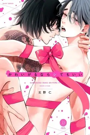 Portada de BL de yakuzas y mafiosos