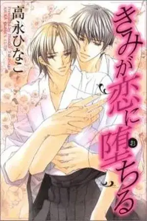 Portada de Kimi ga Koi ni Ochiru