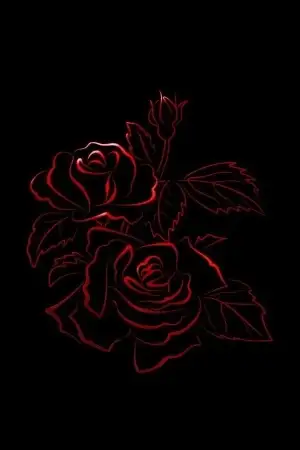 Portada de La Rosa Roja y la Rosa Negra