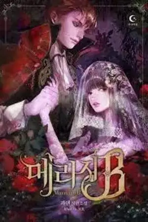 Portada de Matrimonio b (novel)