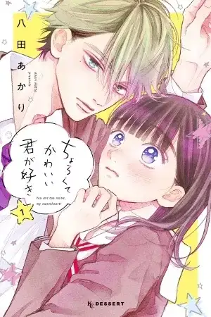 Portada de CHOROKUTE KAWAII KIMI GA SUKI