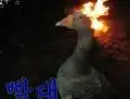 Portada de Sahwa Peticion Secreta