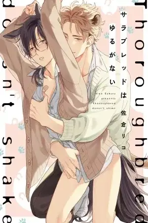 Portada de Furros