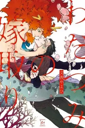 Portada de Wadatsumi no Yometori