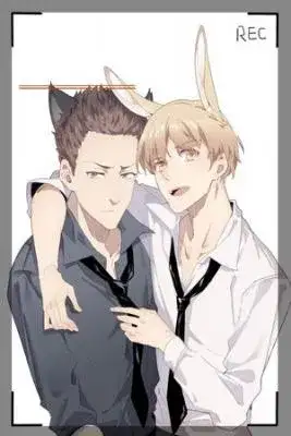 Portada de Picking Light