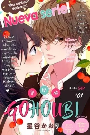Portada de Tama no Gohoubi