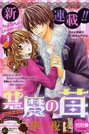 Portada de Akuma no Ichigo